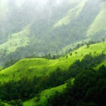 Shola_Grasslands_and_forests_in_the_Kudremukh_National_Park,_Western_Ghats,_Karnataka (1)