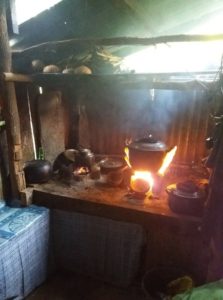 , Fieldwork and Lecture: Dr Wolf visits the Philippines