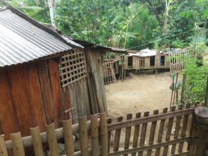 , Fieldwork and Lecture: Dr Wolf visits the Philippines