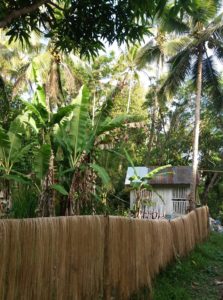 , Fieldwork and Lecture: Dr Wolf visits the Philippines