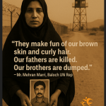 Captura de ecrã 2025-06-06 143520